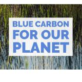 Graphic of blue ocean with text Blue Carbon for our Planet