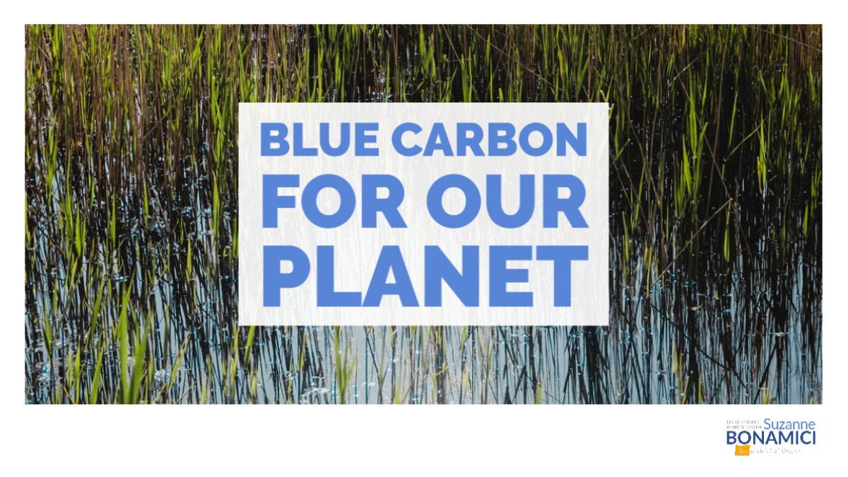 Graphic of blue ocean with text Blue Carbon for our Planet