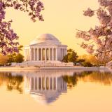 Thomas Jefferson Memorial 